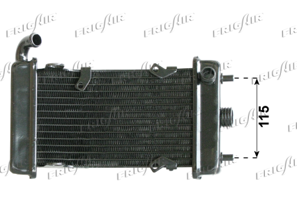 RAD. MALAGUTI PASSWORD