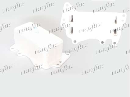 OILC. BMW SERIES F30/31-F32/33-F07/10/11-X3-X6