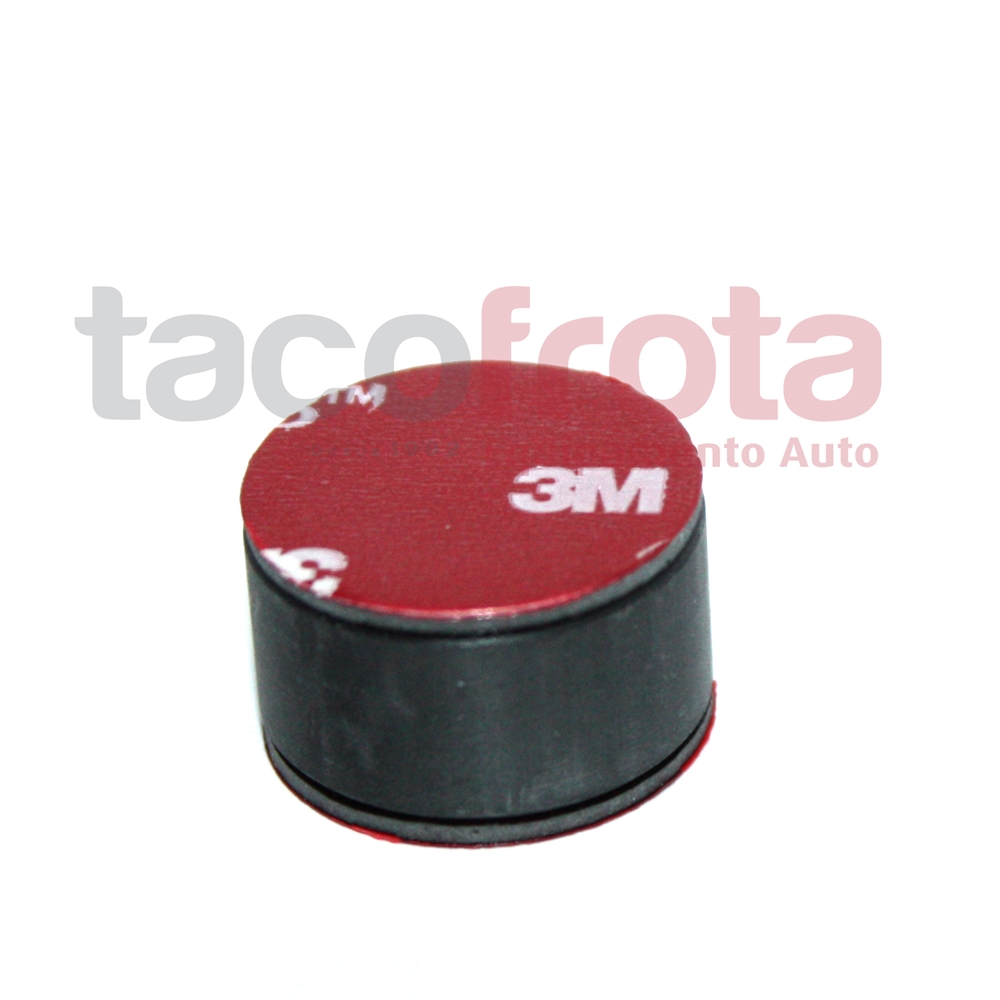 Goma Fixacao