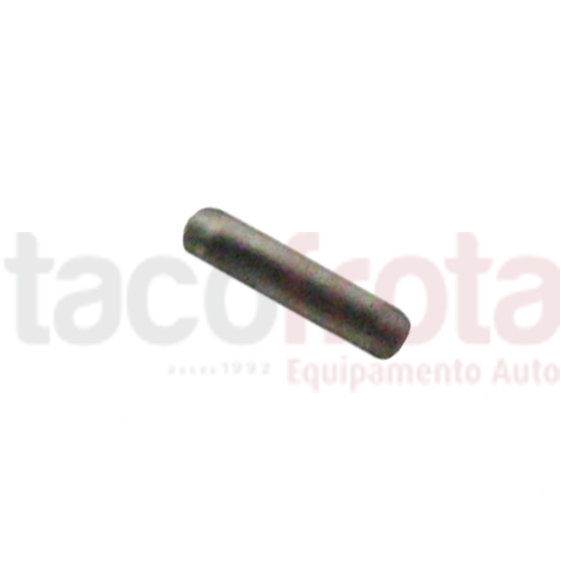 Fixador Tranca