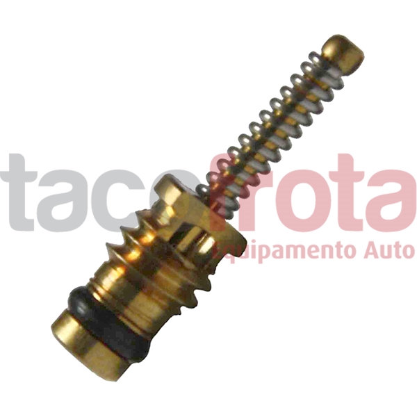 Valvula Carga M6X1 -  (5UN)