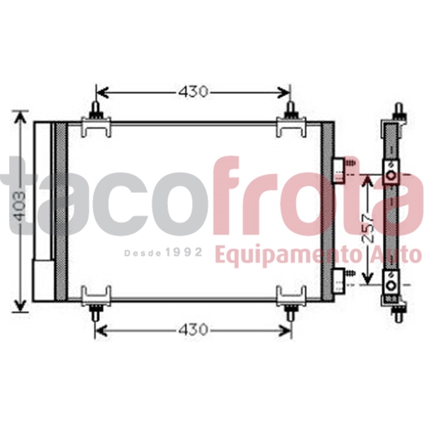 COND. PEUGEOT 307 CITROEN C4 - LAT.PAD