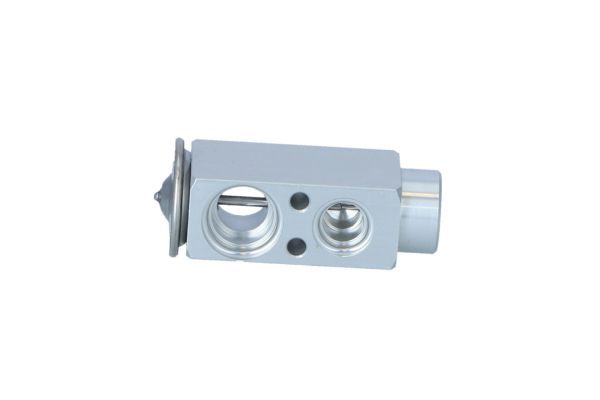 VALV. EXP. RENAULT PREMIUM1 2/KERAX  05-