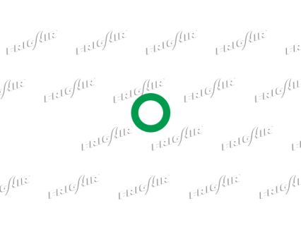 ORING RENAULT-ROVER 4,55x1,3 mm 25PCS